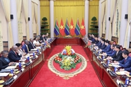 Vietnam treasures relations with South Africa: State President